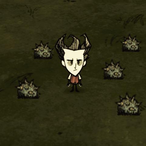 《《饥荒》独家揭秘：狗牙陷阱与火鸡陷阱制作攻略，轻松升级你的生存技巧！》