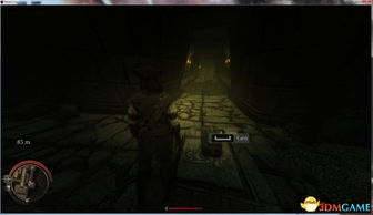 《乌鸦悲鸣全主线速攻！独家攻略揭秘，点击解锁高效玩法》