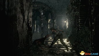 《生化危机HD重制版》全地图攻略揭秘：隐藏细节大揭秘！