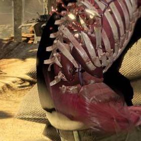 《狙击精英3精英模式攻略：揭秘高难度挑战全流程！》