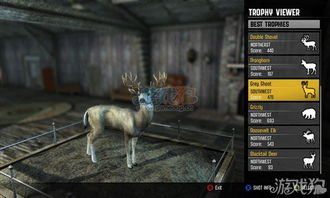 《坎贝拉猎人:揭秘职业狩猎技巧,新手必看攻略!》 《坎贝拉猎人:揭秘职业狩猎技巧,新手必看攻略!》