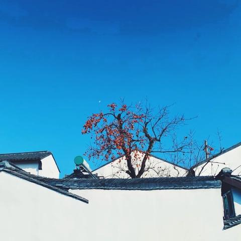 《光与影33号队》揭秘！无畏斗士符纹获取攻略大公开！