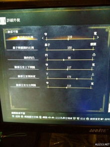 《揭秘《黑暗之魂3》法系职业:独家数据分析与计算秘籍》 《揭秘《黑暗之魂3》法系职业:独家数据分析与计算秘籍》