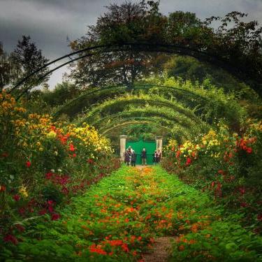 《绝区零》雨果最佳搭档揭秘！打造无敌阵容攻略！