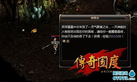 《破晓传说》猫头鹰宝藏揭秘：探寻隐藏奖励，解锁神秘饰品！