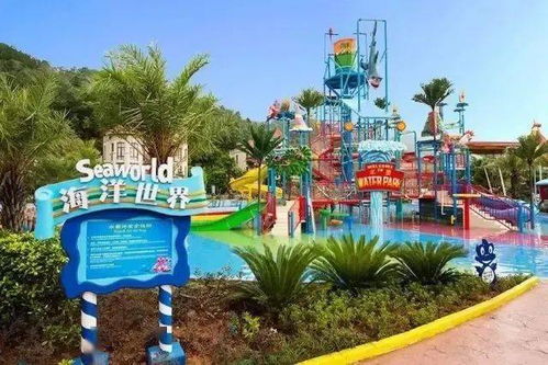 《探秘温泉！揭秘线条小狗的动物乐园》