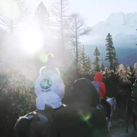 《探秘落叶地：光与影33号队全攻略揭秘》