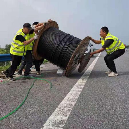 《灾后修复师攻略揭秘：新手必看！快速上手技巧》