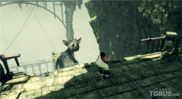 《最后的守护者》攻略揭秘：全流程攻略大揭秘！