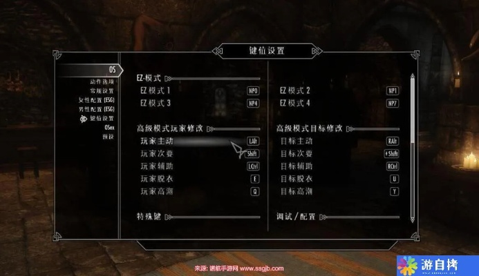 《上古卷轴5》新手必看！开局玩法攻略揭秘，轻松升级！