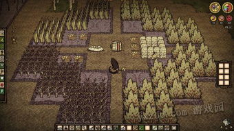 《饥荒基地秘籍大公开！豪华建家攻略揭秘》