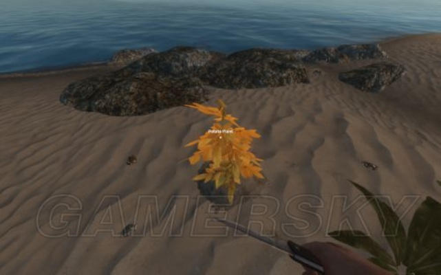 荒岛求生秘籍大公开！全生物资料深度解析