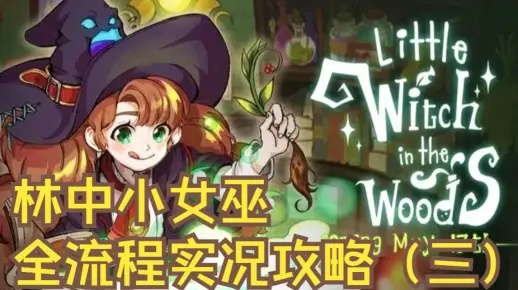 《林中小女巫》剧情揭秘：隐藏攻略，全程揭秘！