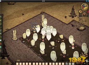 《饥荒》地皮奥秘大揭秘：地形代码全解析，探索未知领域！