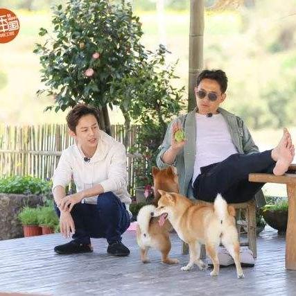 《幻想生活i山羊咩坐骑秘籍大揭秘!速来获取独门技巧》 《幻想生活i山羊咩坐骑秘籍大揭秘!速来获取独门技巧》