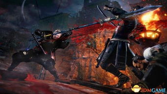 《仁王》敌人弱点揭秘：破解攻略大公开！