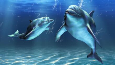 揭秘《红色警戒3》海豚：神秘单位背后的惊人秘密！