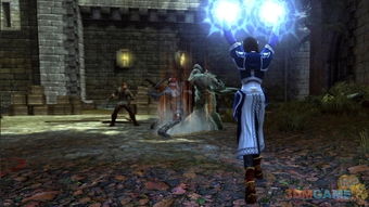 《无冬之夜2攻略揭秘：揭秘背叛者面具背后的秘密》