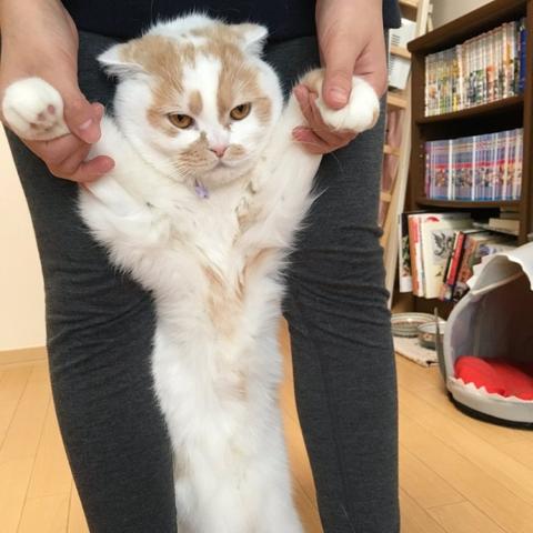 《揭秘！《我的世界》1.13版电梯建造秘籍，快速上手！》