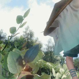 《逆水寒》仗剑行BOSS首战攻略：揭秘老一掌门挑战技巧！