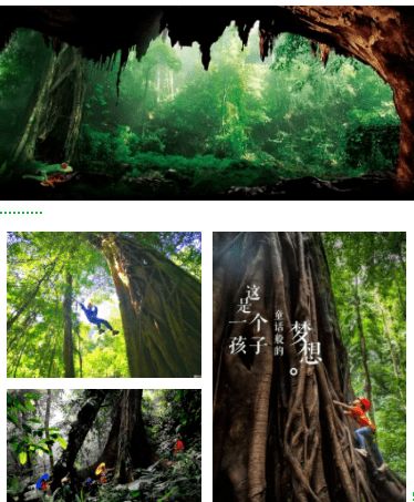 揭秘森林秘境!实况娱乐解说带你探秘自然奇观 揭秘森林秘境!实况娱乐解说带你探秘自然奇观