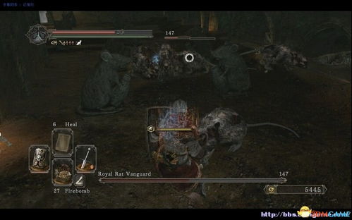 《暗黑魂2全防具攻略揭秘：独家拿法，速成全防达人！》