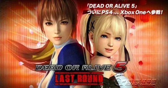 《死或生5》纪念版独家攻略：揭秘隐藏技巧，点击解锁！