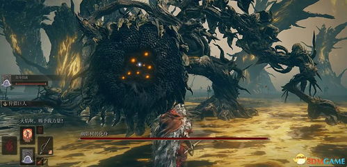 《艾尔登法环三头野兽BOSS攻略:揭秘黑夜君临战法!》 《艾尔登法环三头野兽BOSS攻略:揭秘黑夜君临战法!》