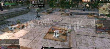 《逆水寒》金龙头杖奇遇揭秘：解锁触发攻略，独家奇遇等你来！