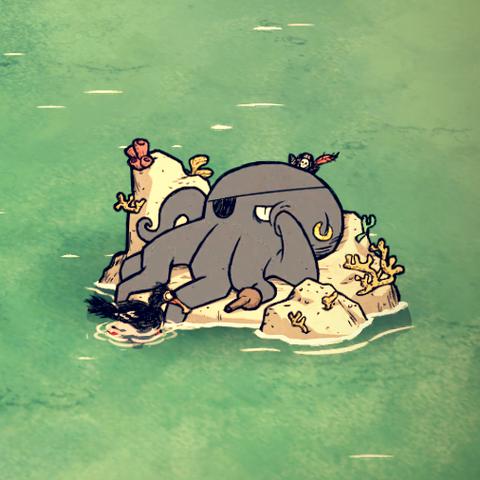 《饥荒海难生存指南：揭秘旱季生存秘籍》