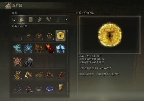 《艾尔登法环黑夜君临遗物速刷攻略！揭秘高效刷遗物技巧》