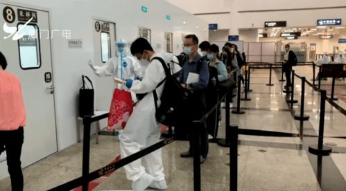 《幻想生活i：揭秘无垠大陆，材料获取秘籍大公开！》