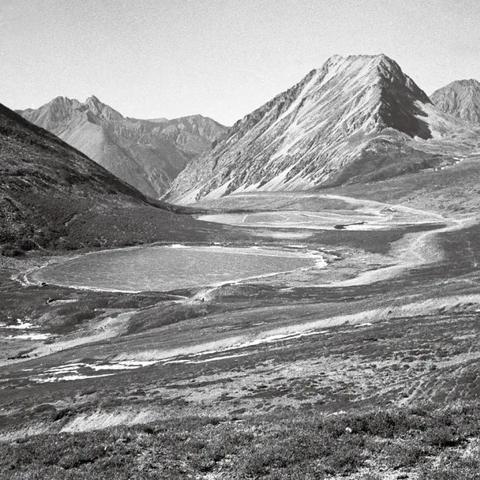 《荒原先驱》试玩开启！揭秘神秘荒野，射击冒险等你来挑战！