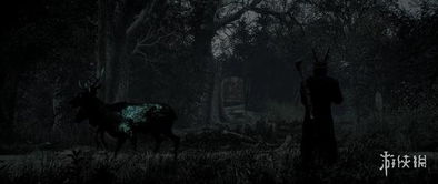 《辐射4》惊悚生物揭秘：揭秘十大危险生物特点与生存法则