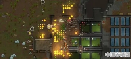 环世界试玩揭秘：挑战极限，深度体验，究竟有多好玩？