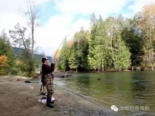 《揭秘！莱恩岛钓鱼秘籍：独家生存指南大公开》