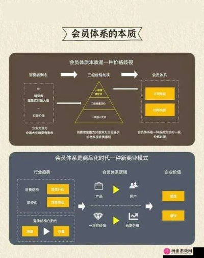 揭秘VIP系统：隐藏功能大揭秘，你了解多少？