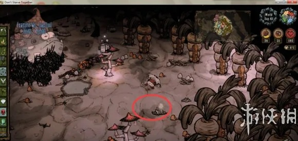 《《饥荒》联机速杀蛤蟆BOSS攻略！开局必看！蛤蟆BOSS怎么快速击败？》