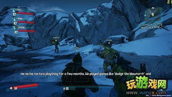 《无主之地2》vLan/浩方联机攻略：揭秘高手秘籍，速来学习！