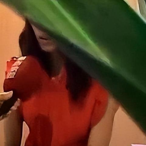 《洛奇英雄传反抗命运》A测存档秘境揭秘：你找到隐藏位置了吗？