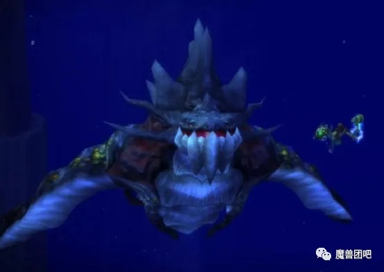 魔兽世界：解锁酣梦鲵鲷水栖形态攻略揭秘