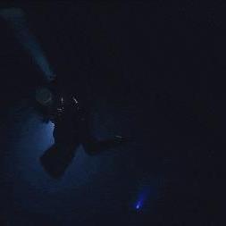 《戴夫潜水员：独家猫粮获取攻略》