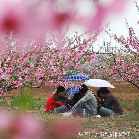 《无限暖暖》第二日旅行攻略：捕捉愿望成真瞬间