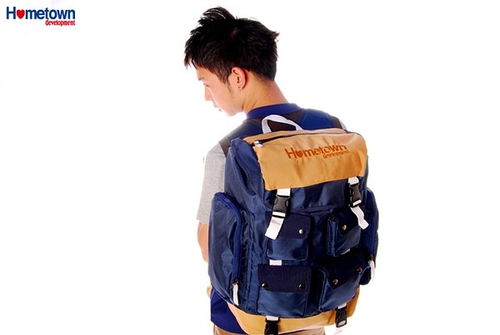 《鸣潮》速清背包声骸攻略：高效整理技巧大公开