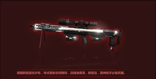 《全球使命3》DSR-1连狙：战场霸主性能解析