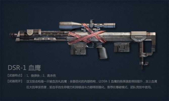 《全球使命3》DSR-1连狙：战场霸主性能解析