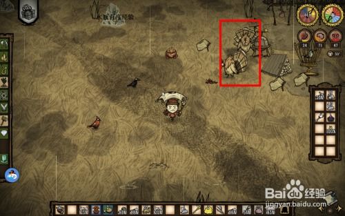 《饥荒海难速建家攻略：生存技巧揭秘》