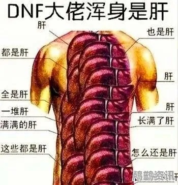 《天龙玩家笑出声！揭秘“肝”字背后的真相》