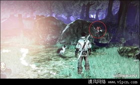 《神鬼寓言3》全地精宝藏攻略：隐藏秘境大揭秘