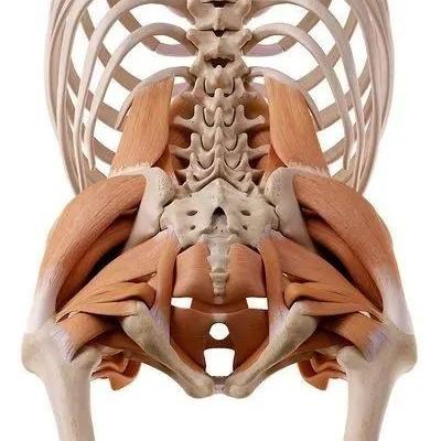 《跳过键引热议！5万条评论揭示玩家心声》